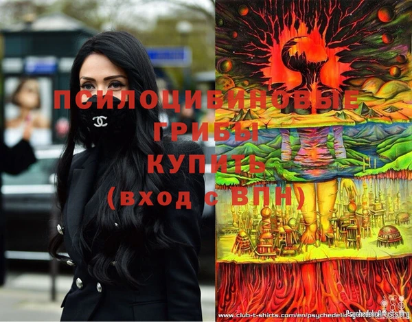 а пвп мука Армянск